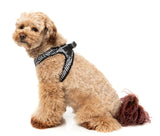 Fitzroy - Step In Harness by FuzzYard