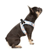 Yazd - Step In Harness by FuzzYard