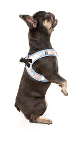 Yazd - Step In Harness by FuzzYard