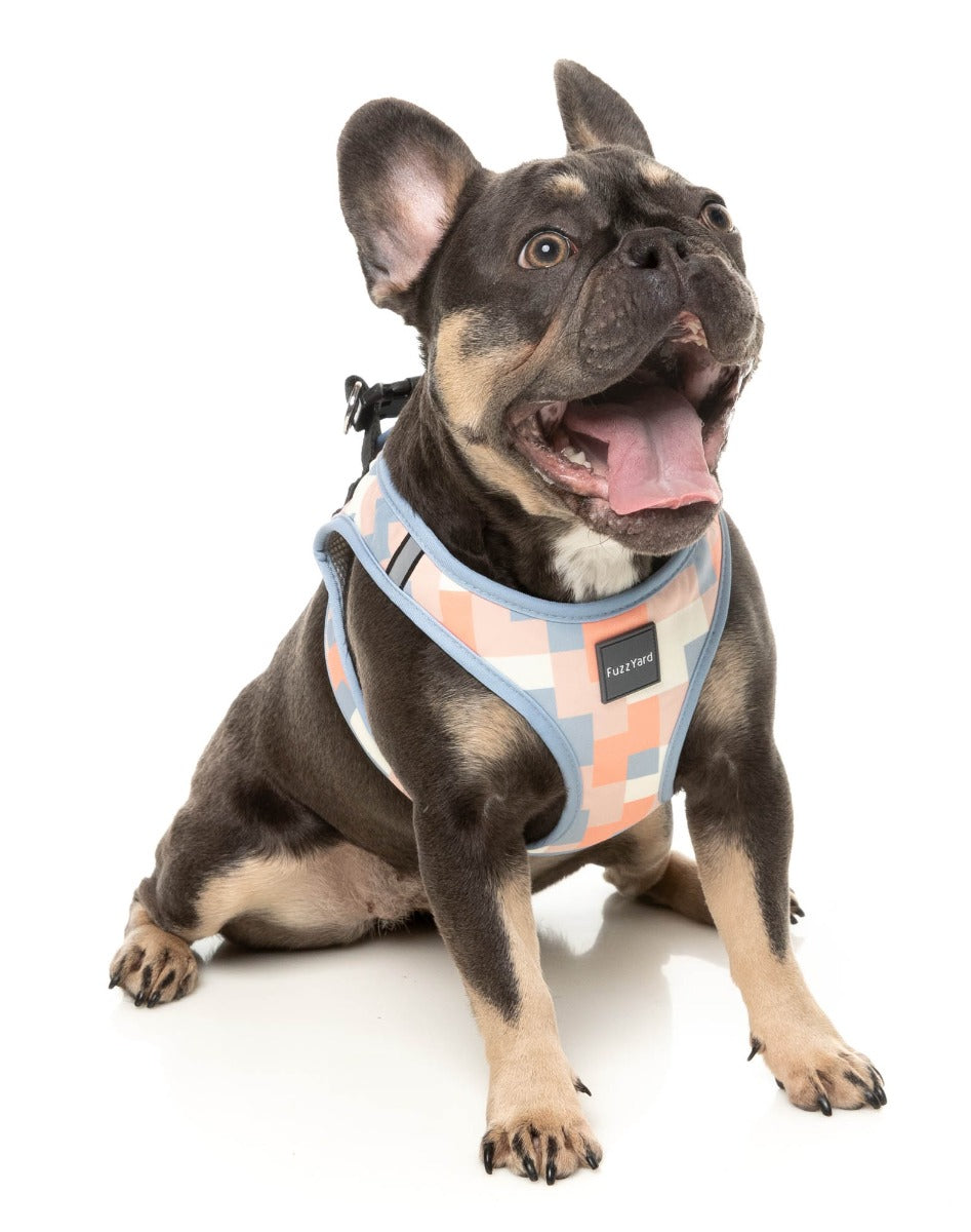 Yazd - Step In Harness by FuzzYard