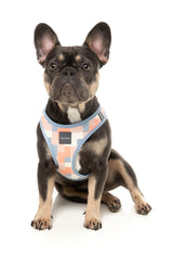 Yazd - Step In Harness by FuzzYard