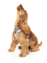 Fresh Zest - Step In Harness by FuzzYard