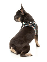 Carioca - Step In Harness by FuzzYard