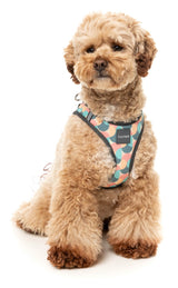 Carioca - Step In Harness by FuzzYard