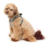 Carioca - Step In Harness by FuzzYard