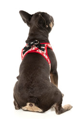 Meat Heads - Step In Harness by FuzzYard