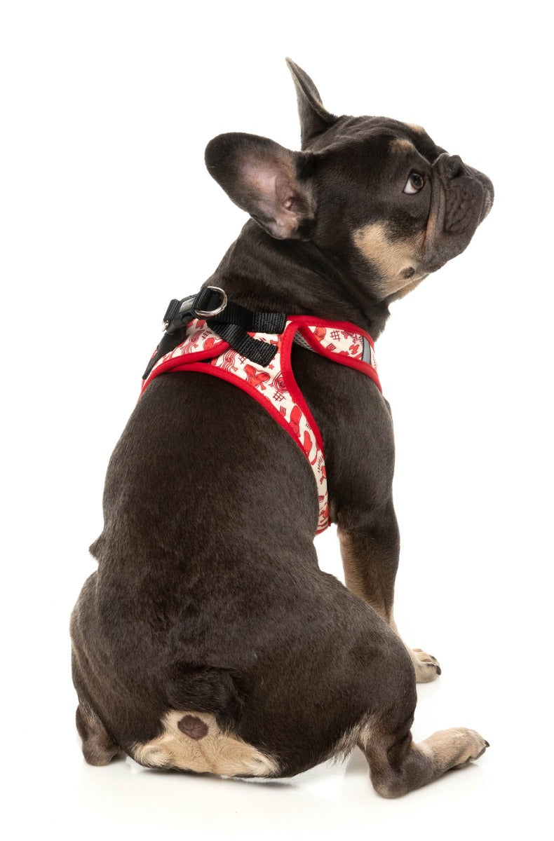 Meat Heads - Step In Harness by FuzzYard