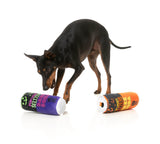 Trick or Treat Seltzers (2pk) - Dog Toy by FuzzYard