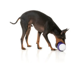 Trick or Treat Seltzers (2pk) - Dog Toy by FuzzYard