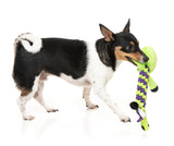 Bone Affleck Dog Toy by FuzzYard