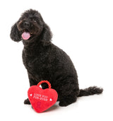 Love You Fur-ever Lock - Dog Toy by FuzzYard