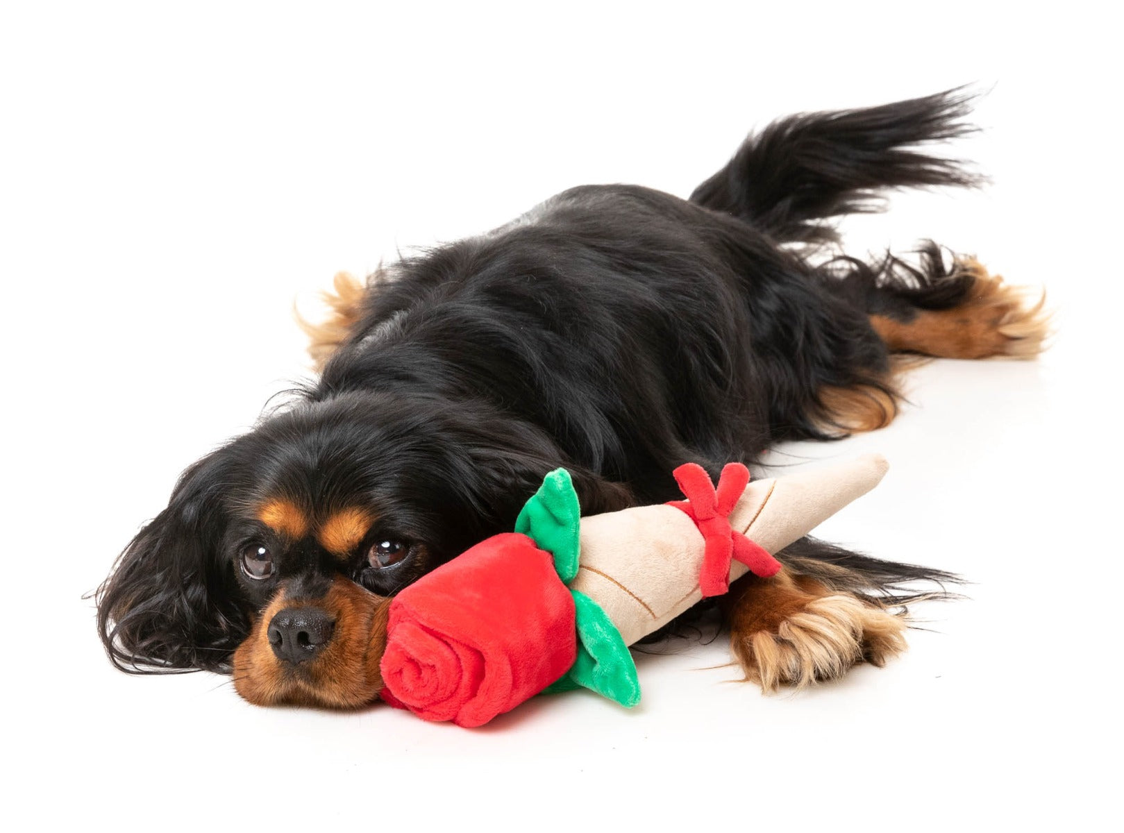 Wrapped Rose - Dog Toy by FuzzYard