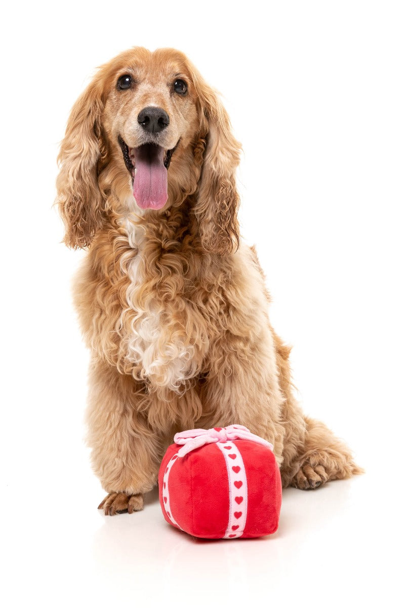 Wrapped About You - Dog Toy by FuzzYard