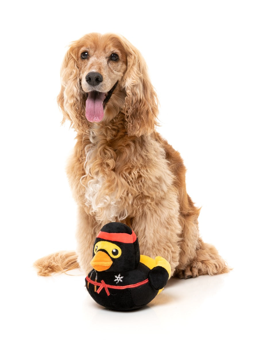 Quackie Chan - Dog Toy by FuzzYard