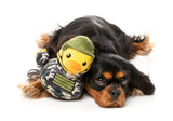 Commanduck - Dog Toy by FuzzYard