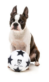 FuzzYard Soccer Ball - Dog Toy by FuzzYard