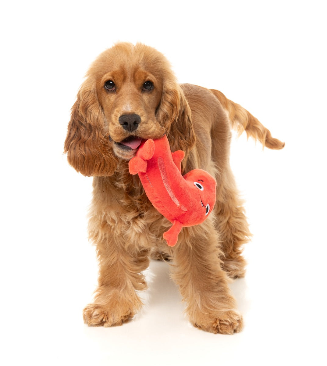 Brad Wurst - Dog Toy by FuzzYard