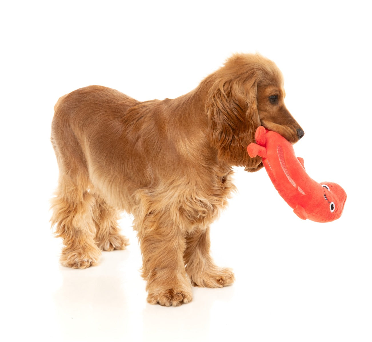 Brad Wurst - Dog Toy by FuzzYard