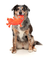 Brad Wurst - Dog Toy by FuzzYard