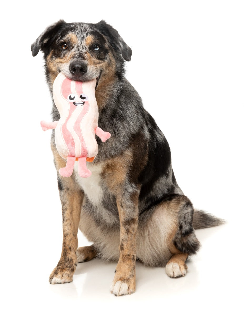 Most Popular Toys Set Bundle