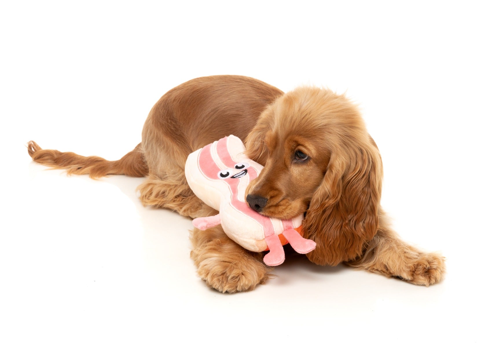Kevin Bacon-Strip - Dog Toy by FuzzYard