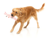 Kevin Bacon-Strip - Dog Toy by FuzzYard