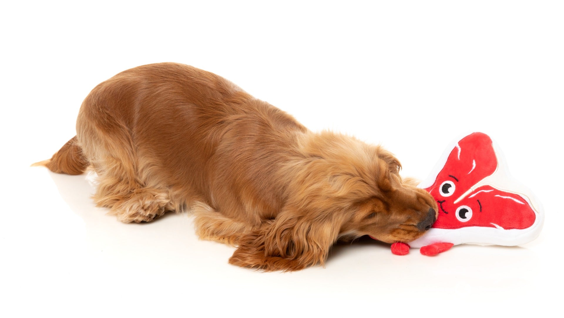 Tim Tee-Bowne - Dog Toy