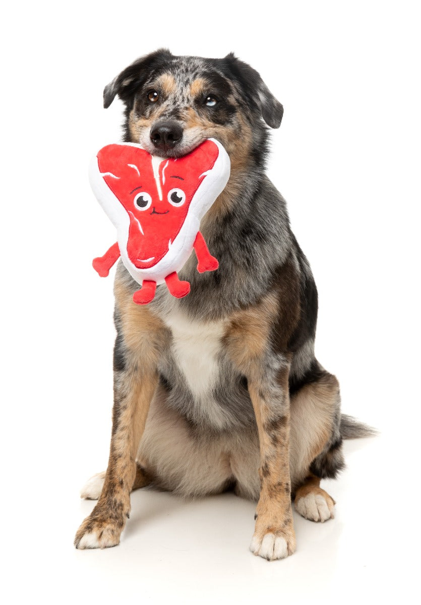Tim Tee-Bowne - Dog Toy