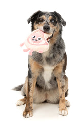 Piggy Smalls - Dog Toy by FuzzYard