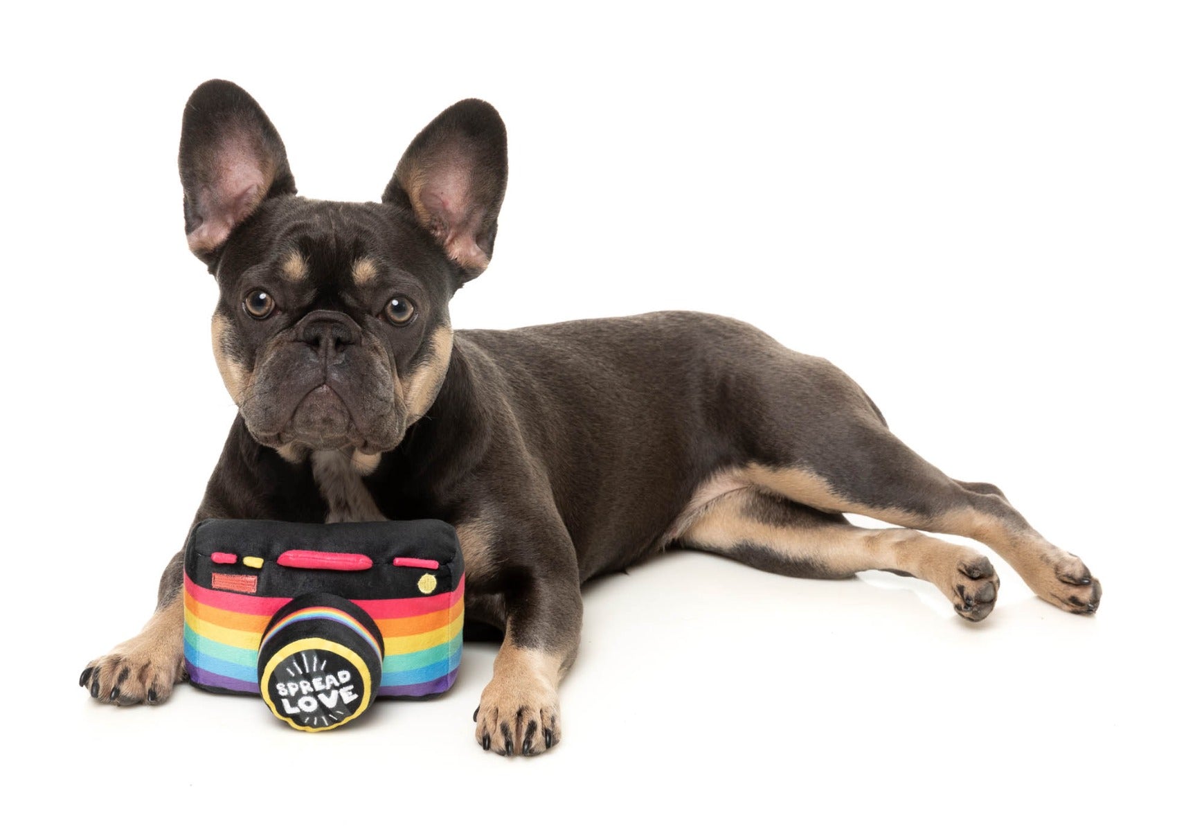 Spread Love Camera - Dog Toy by FuzzYard