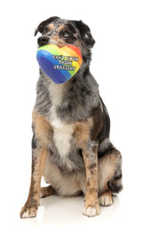 Can't Think Straight - Dog Toy by FuzzYard