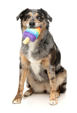 Love Icy Pole - Dog Toy by FuzzYard