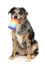 Love Icy Pole - Dog Toy by FuzzYard