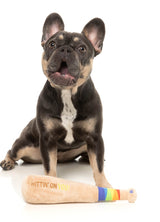 Hittin' On You Bat - Dog Toy by FuzzYard