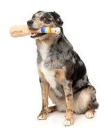 Hittin' On You Bat - Dog Toy by FuzzYard