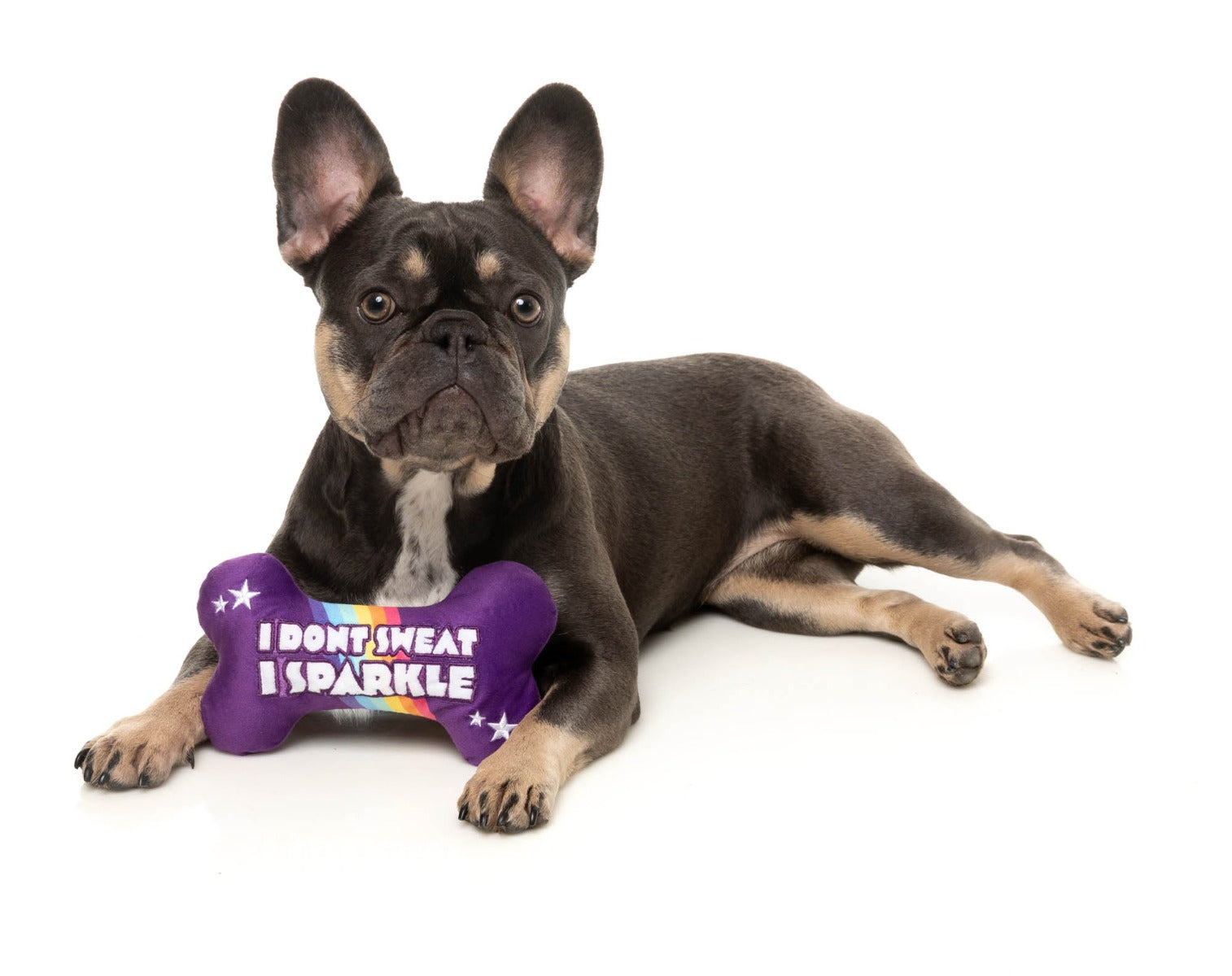 Sparkle Bone - Dog Toy by FuzzYard