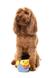 Timotheé Chalaquack - Dog Toy by FuzzYard