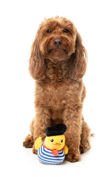 Timotheé Chalaquack - Dog Toy by FuzzYard