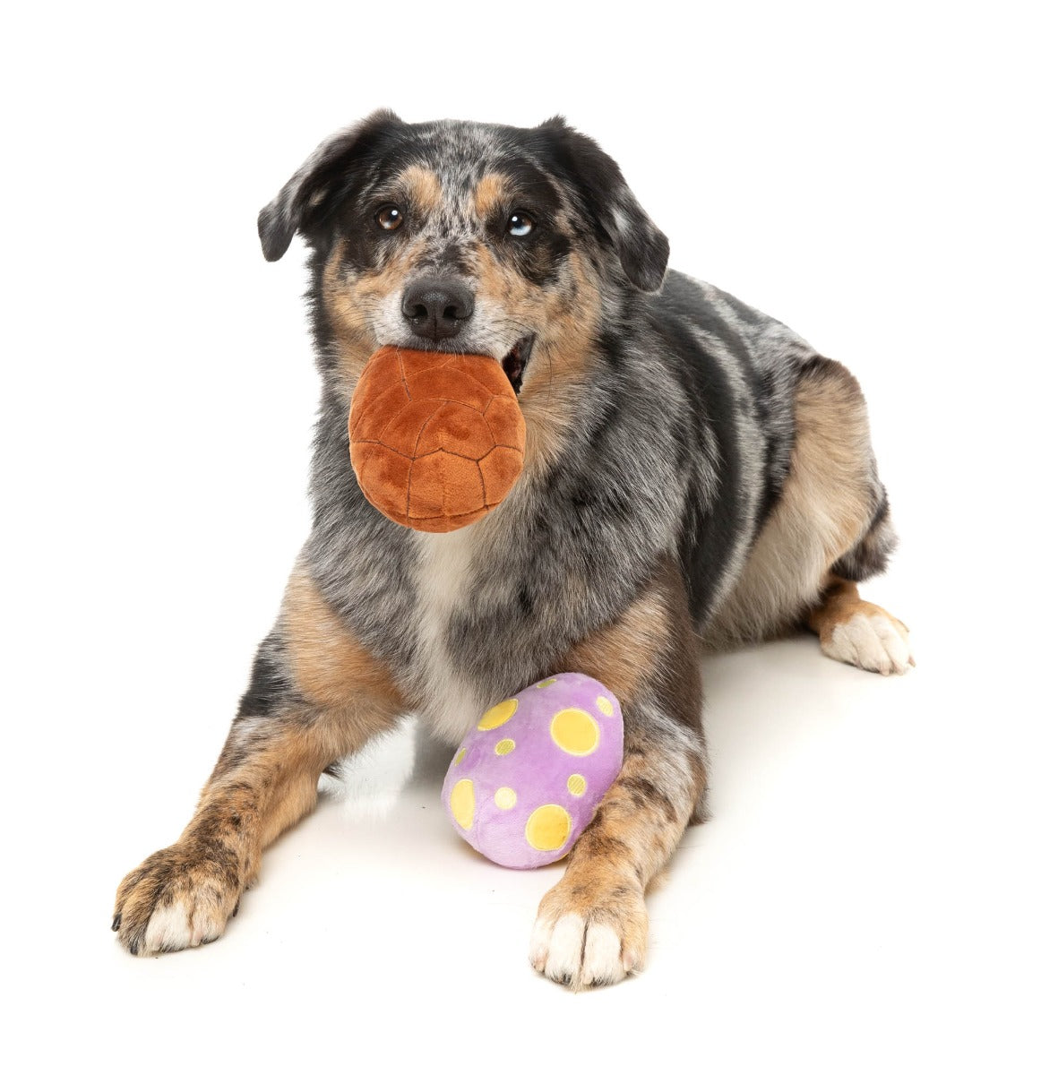 Easter Egg 2PK - Dog Toy by FuzzYard