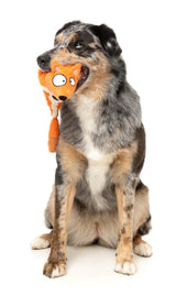 Farewell Fox - The Yeetz - Dog Toy by FuzzYard