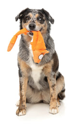 Farewell Fox - The Yeetz - Dog Toy by FuzzYard