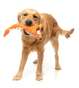Most Popular Toys Set Bundle