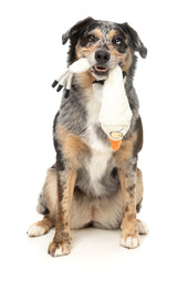 See-ya Seagull - The Yeetz - Dog Toy by FuzzYard