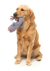 Peace Out Pigeon - The Yeetz - Dog Toy by FuzzYard