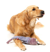 Peace Out Pigeon - The Yeetz - Dog Toy by FuzzYard