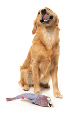 Peace Out Pigeon - The Yeetz - Dog Toy by FuzzYard