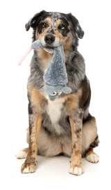 Rack Off Rat - The Yeetz - Dog Toy by FuzzYard