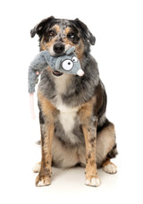 Rack Off Rat - The Yeetz - Dog Toy by FuzzYard