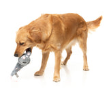 Rack Off Rat - The Yeetz - Dog Toy by FuzzYard