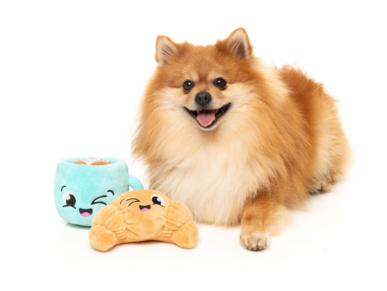 Croissant & Cappuccino 2PK - Dog Toy by FuzzYard